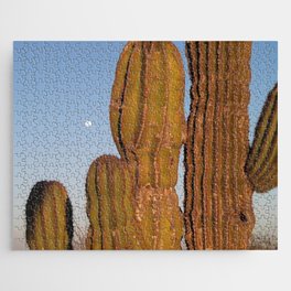 Mexico Photography - Cactuses In The Late Night Evening Jigsaw Puzzle