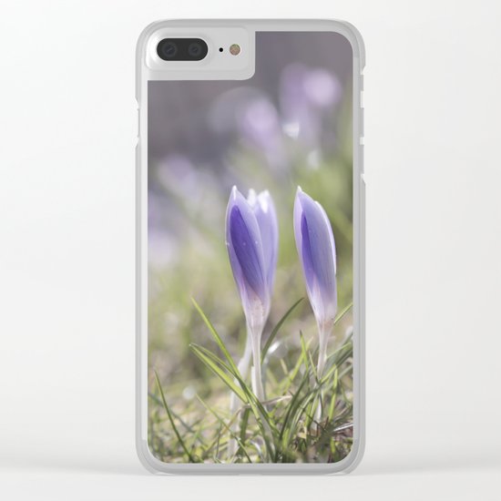 Crocuses at early backlight - Blue flowers - flower Clear iPhone Case