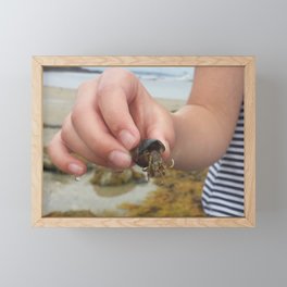 Hermit Crab Framed Mini Art Print