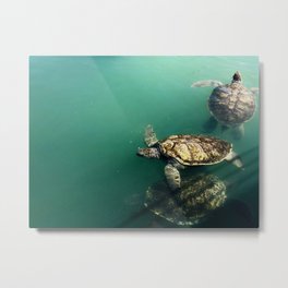 turtles Metal Print