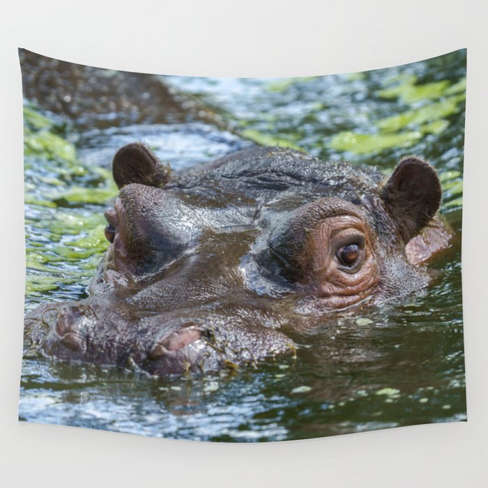 Hippo In The Water Wall Tapestry