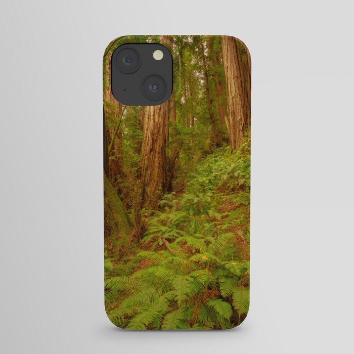 Redwoods Regional II iPhone Case