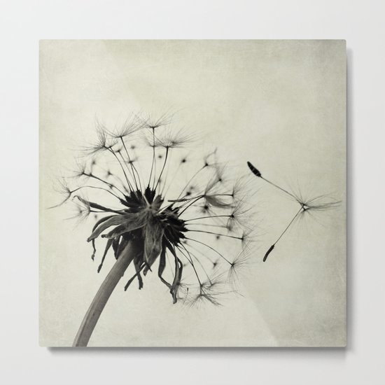 letting go Metal Print