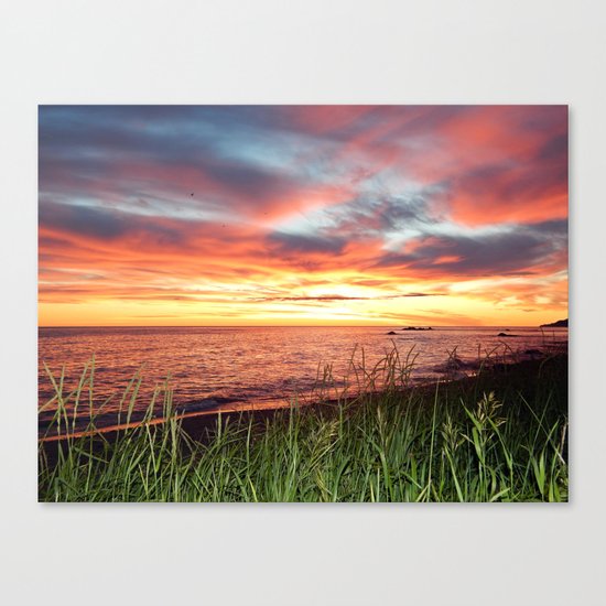 Dawn and the Grass Canvas Print