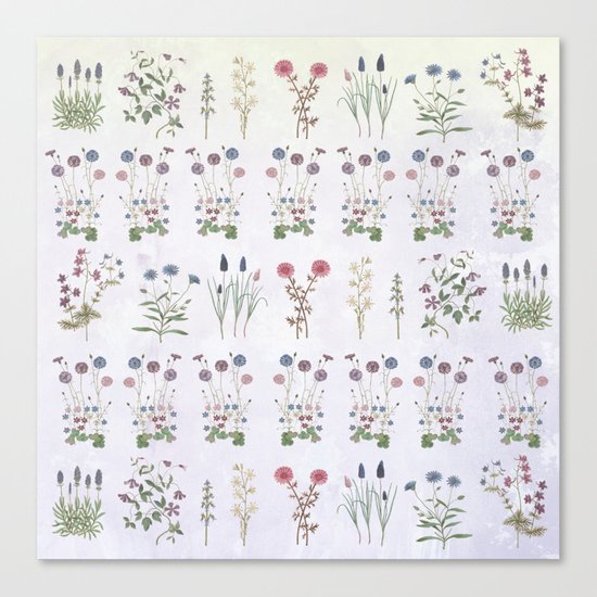 Growing a garden Canvas Print