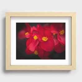 Red Begonia Botanical Recessed Framed Print