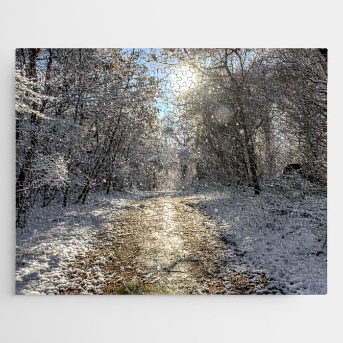 After the Snow Jigsaw Puzzle