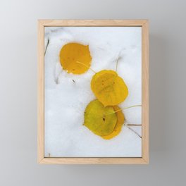 Snowy Aspen Framed Mini Art Print