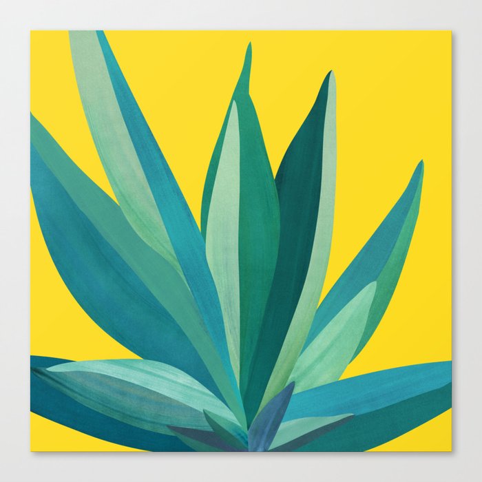 Spring Cactus Pop Botanical Canvas Print