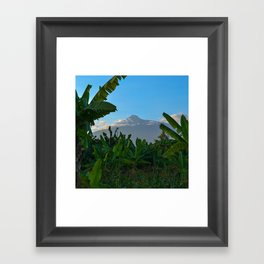 South Africa Photography - Dense Jungle In Front Of A Big Mountain Framed Art Print