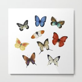 Butterflies in the world Metal Print