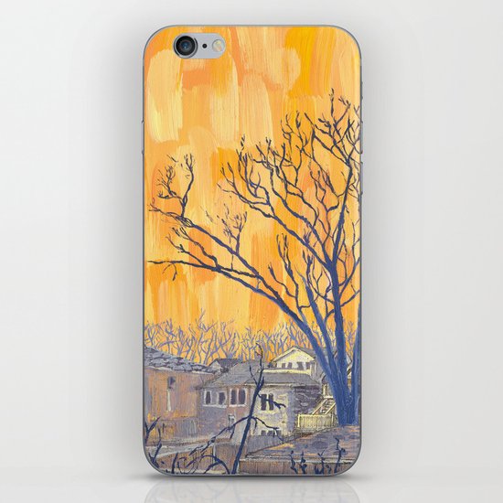 Silverbirch, north of Queen iPhone & iPod Skin