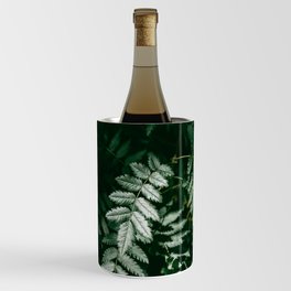 PNW Forest Ferns | Nature Photography Wine Chiller