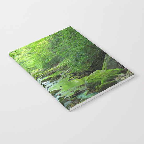 Rocky Forest Creek Notebook