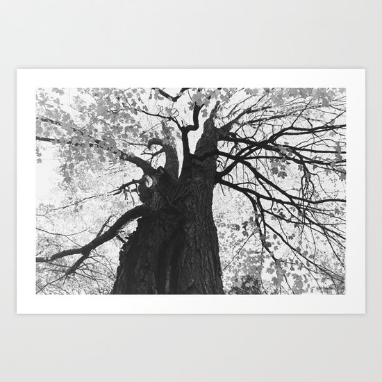 tree Art Print