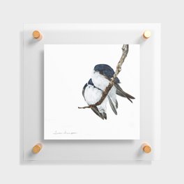 Togetherness - Tree Swallows by Teresa Thompson Floating Acrylic Print