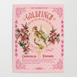 Magc Birds -Goldfinch Poster
