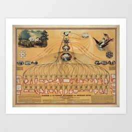 Diagram of the Federal Government and American Union (1862) Art Print
