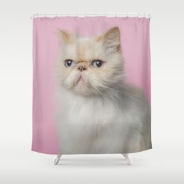 Lord Aries Cat - Photography 008 Shower Curtain