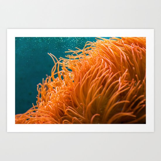 Aquarium Art Print
