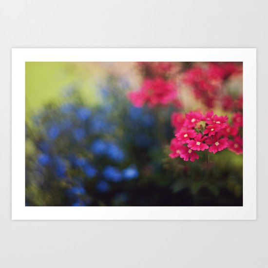 dream a little dream Art Print
