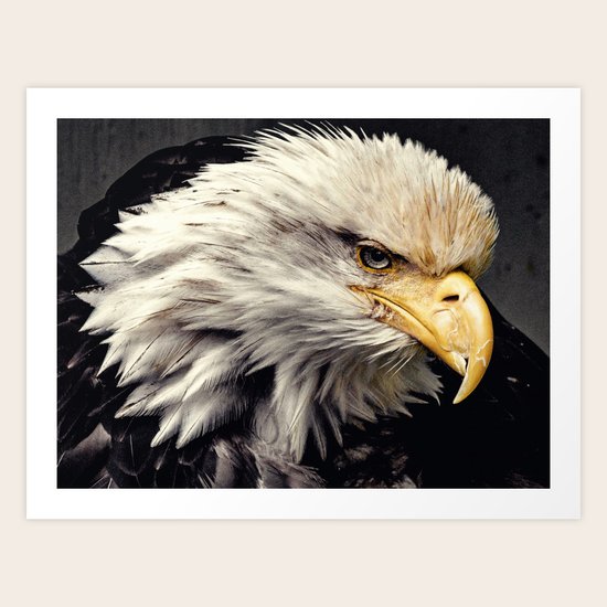The Veteran Art Print