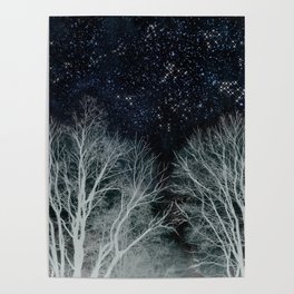 Constellation Forest Poster