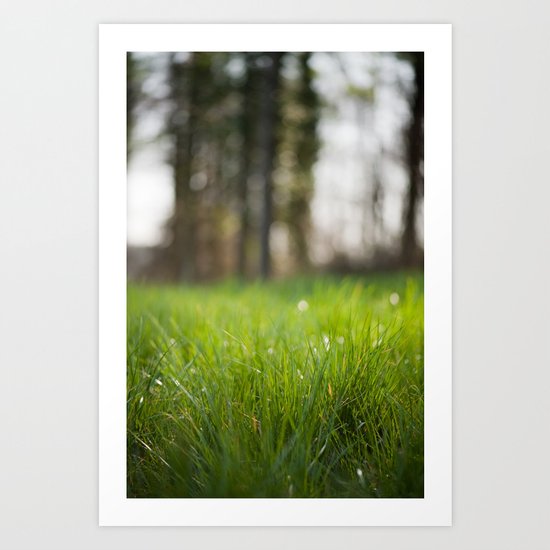 Spring Awakens Art Print