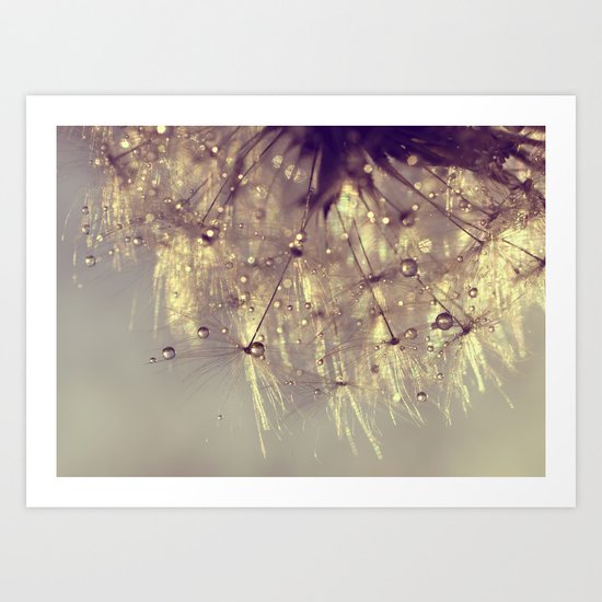 dandelion Art Print