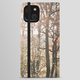 Late autumn amber forest iPhone Wallet Case