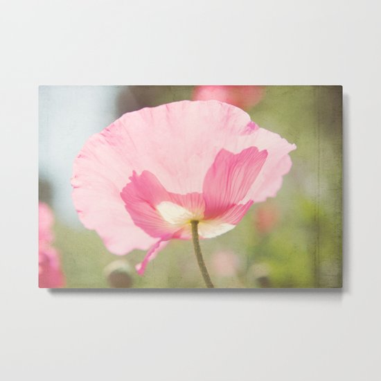 Poppy Metal Print