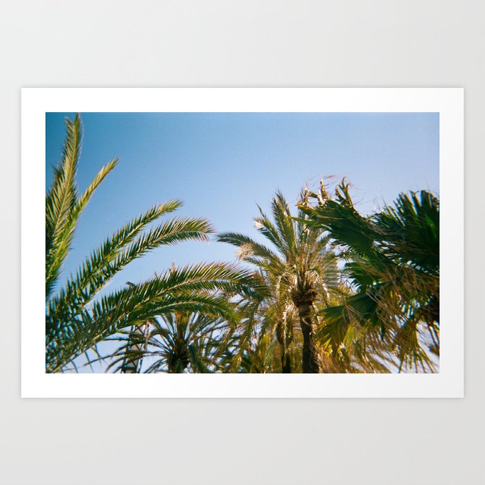 A sunny day to palm trees on Barcelona Art Print