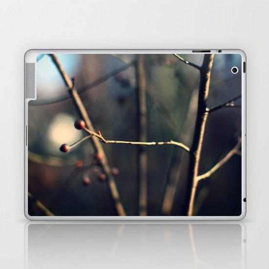 Winter Waits Laptop & iPad Skin