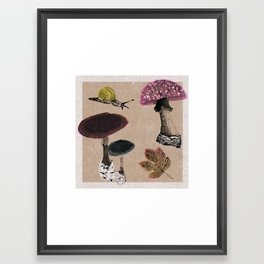 Fantastic Fungi Framed Art Print