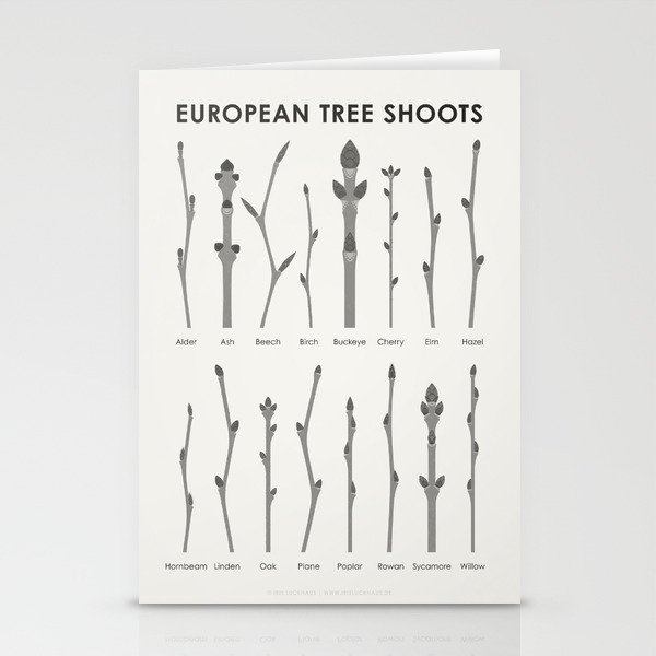[Old Version] European Tree Buds and Shoots Identification Chart Stationery Cards