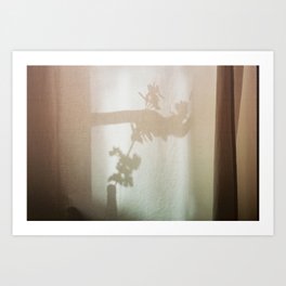 Floral Shadow Art Print