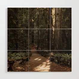 Path Through the Redwoods Wood Wall Art