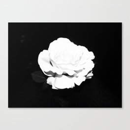 black and darkness Canvas Print