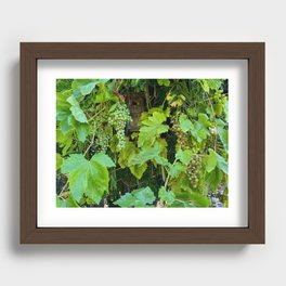 Grapes Recessed Framed Print