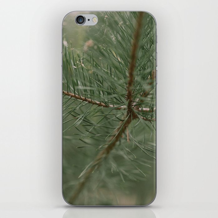 pine tree composition no.1 iPhone Skin