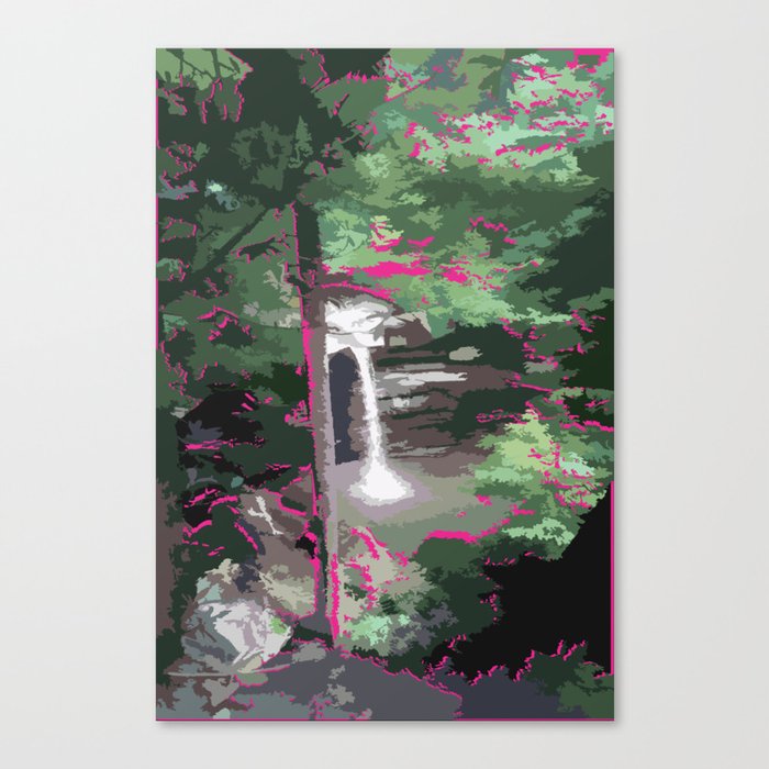 water fall Canvas Print