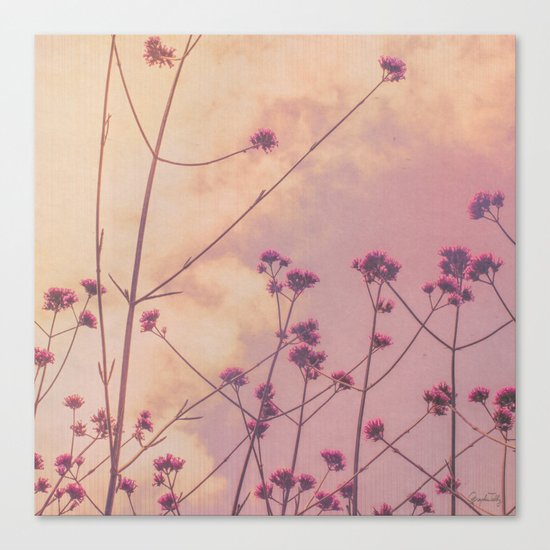 Vintage Pink Wildflowers with Dusty Purple Sky Background Canvas Print