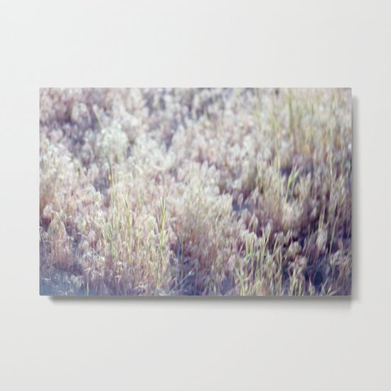 17 Sespe Grass Metal Print