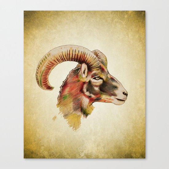 Antelope Canvas Print
