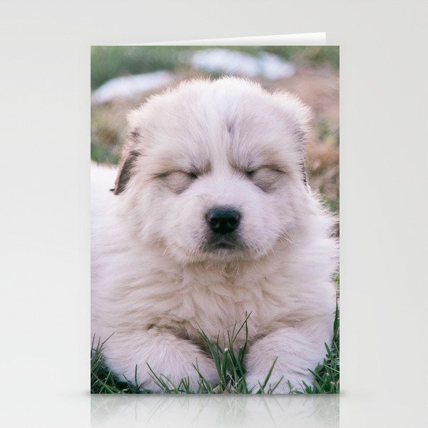 Great Pyrenees Puppy Stationery Cards