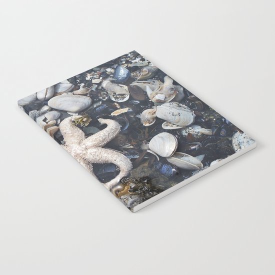 Starfish and Shells Notebook