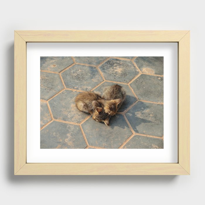 Kindred Kittens Recessed Framed Print