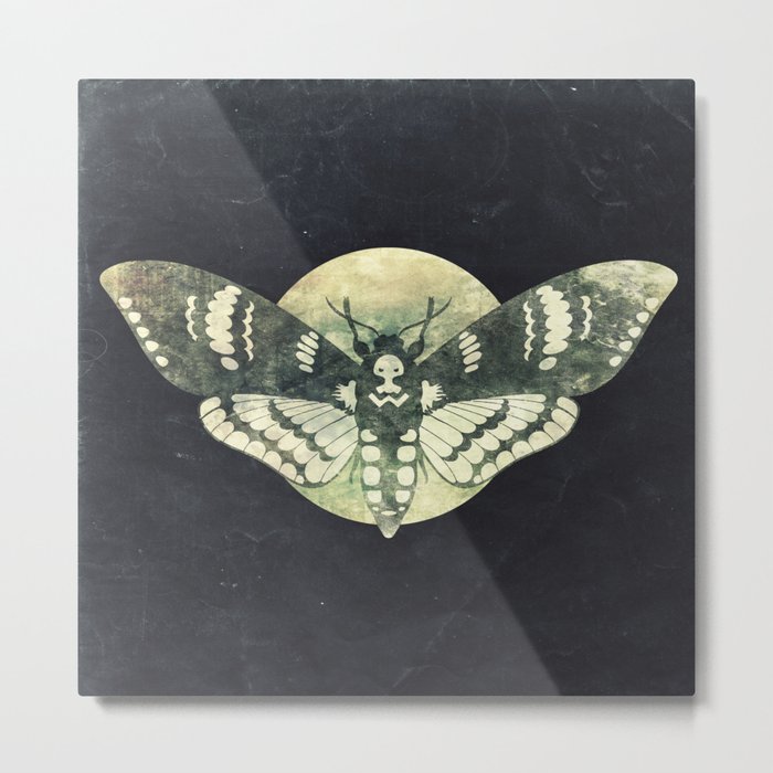 Moth And Moon Metal Print