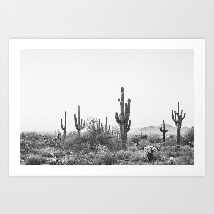DESERT / Scottsdale, Arizona Kunstdrucke