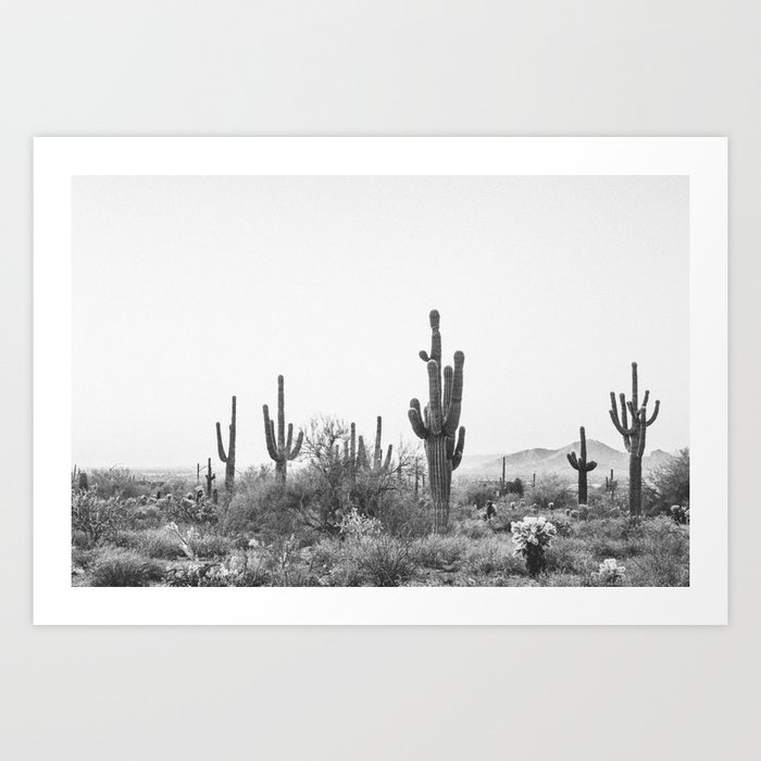 DESERT / Scottsdale, Arizona Kunstdrucke DESERT / Scottsdale, Arizona Kunstdrucke